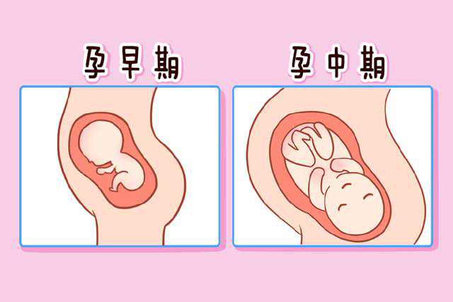 北京供卵助孕机构排名哪家最好