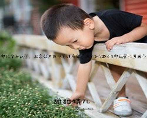 北京供卵代孕和试管，北京妇产医院有没有卵子库？附2023供卵试管生男孩条件