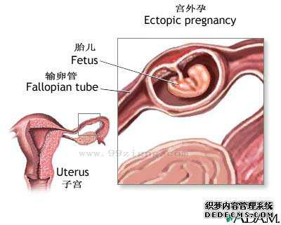 北京供卵试管生子-北京试管代孕每天时间