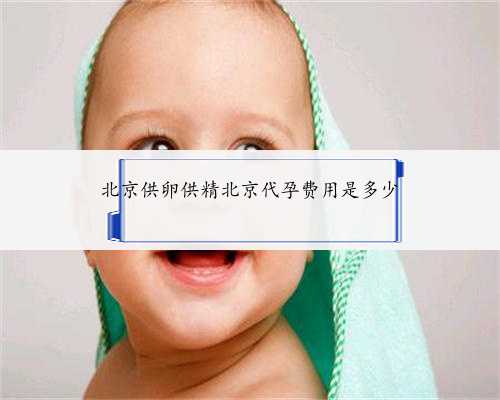 北京供卵供精北京代孕费用是多少