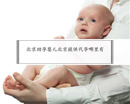 北京助孕婴儿北京提供代孕哪里有