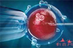北京试管代生机构，北京排名供卵机构有哪些，3家可以开展三代供卵试管助孕
