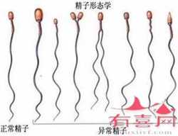 北京代怀孕价格明细表，北京朝阳医院试管婴儿费用多少？2022年试管价格表