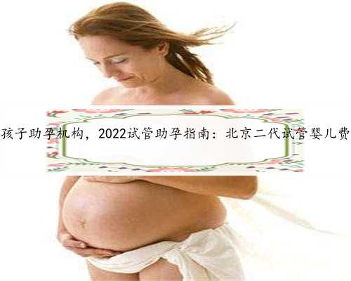北京代生孩子助孕机构，2022试管助孕指南：北京二代试管婴儿费用多少？