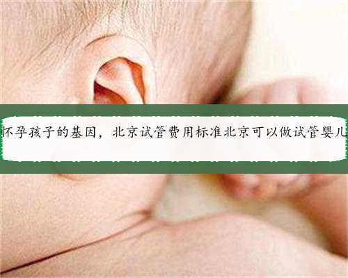 北京代怀孕孩子的基因，北京试管费用标准北京可以做试管婴儿的医院