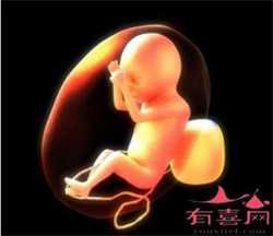 哪些人可以北京代怀，北京市哪家医院可以做试管婴儿？