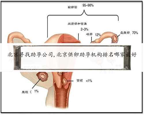 北京寻找助孕公司,北京供卵助孕机构排名哪家最好